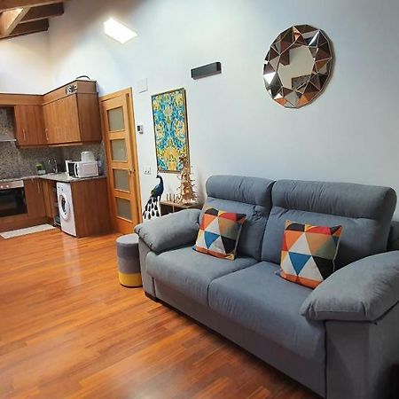 Cal Tranquil Camprodon, Acollidor Atic Al Centre Apartment Luaran gambar