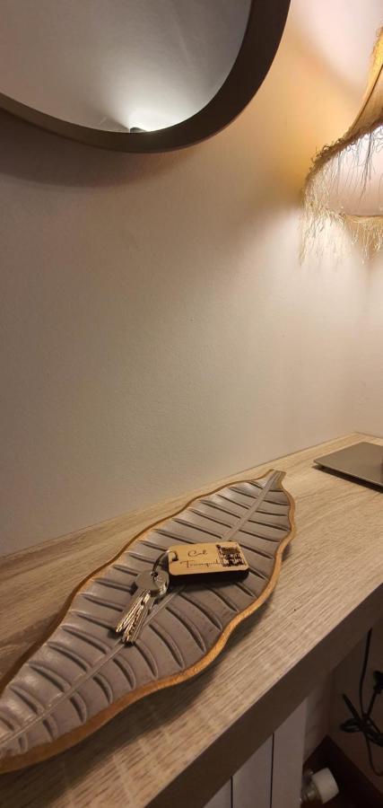 Cal Tranquil Camprodon, Acollidor Atic Al Centre Apartment Luaran gambar