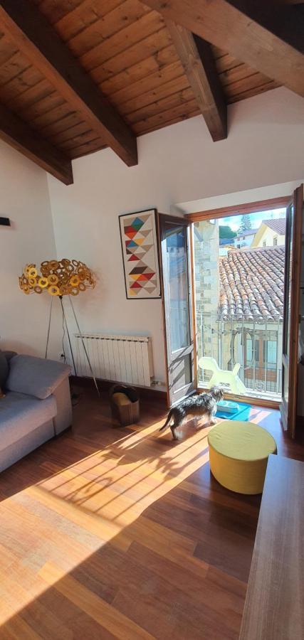 Cal Tranquil Camprodon, Acollidor Atic Al Centre Apartment Luaran gambar