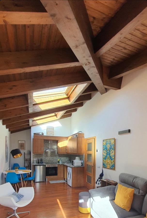Cal Tranquil Camprodon, Acollidor Atic Al Centre Apartment Luaran gambar
