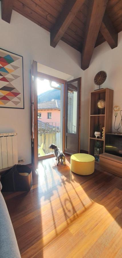Cal Tranquil Camprodon, Acollidor Atic Al Centre Apartment Luaran gambar